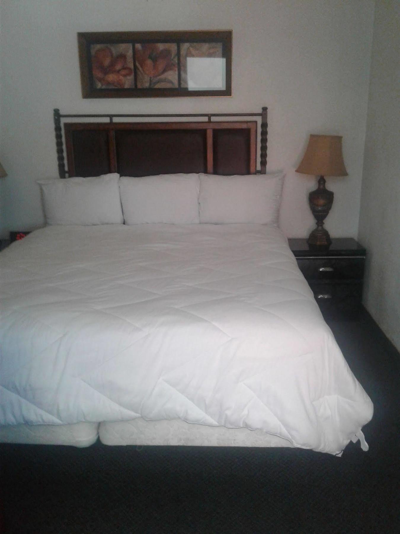 Desert Rose Inn Reno Ngoại thất bức ảnh